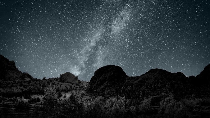 新手养鱼，鱼缸中能放入哪些水草？